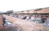 相模原峰山.jpg